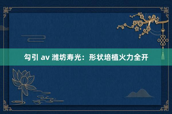 勾引 av 潍坊寿光：形状培植火力全开