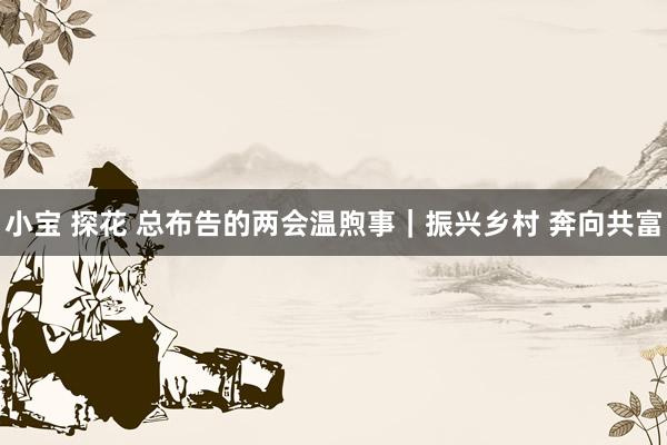 小宝 探花 总布告的两会温煦事｜振兴乡村 奔向共富