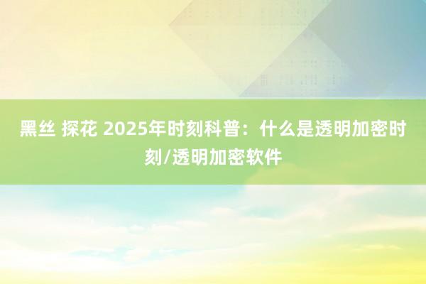 黑丝 探花 2025年时刻科普：什么是透明加密时刻/透明加密软件
