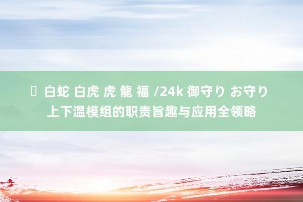 ✨白蛇 白虎 虎 龍 福 /24k 御守り お守り 上下温模组的职责旨趣与应用全领略