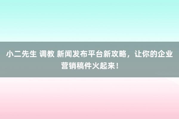 小二先生 调教 新闻发布平台新攻略，让你的企业营销稿件火起来！