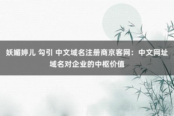妖媚婷儿 勾引 中文域名注册商京客网：中文网址域名对企业的中枢价值
