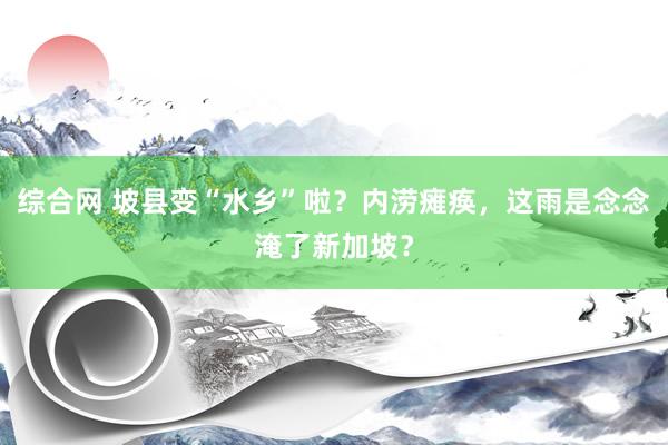 综合网 坡县变“水乡”啦？内涝瘫痪，这雨是念念淹了新加坡？
