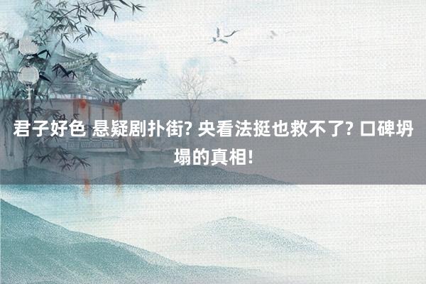 君子好色 悬疑剧扑街? 央看法挺也救不了? 口碑坍塌的真相!