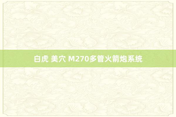 白虎 美穴 M270多管火箭炮系统