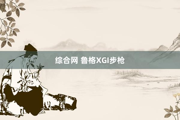 综合网 鲁格XGI步枪