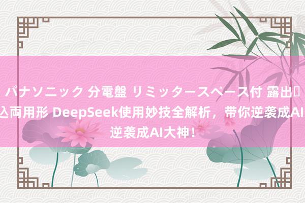 パナソニック 分電盤 リミッタースペース付 露出・半埋込両用形 DeepSeek使用妙技全解析，带你逆袭成AI大神！