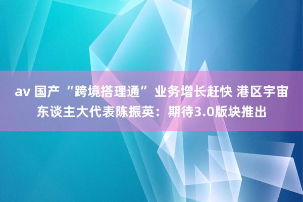 av 国产 “跨境搭理通” 业务增长赶快 港区宇宙东谈主大代表陈振英：期待3.0版块推出